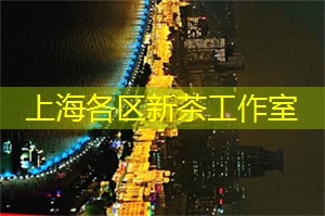 想了解上海娱乐场所的最新潮流吗？