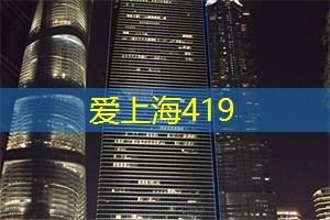 上海新茶工作室：迷雾中的诗情画意！上海新茶工作室带你领略品茶的浪漫氛围！