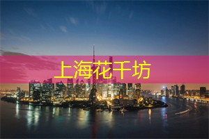 上海工作室无敌秘籍别人藏着不告诉你，我却告诉你！